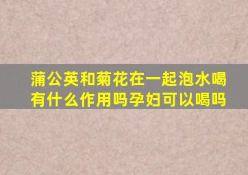 蒲公英和菊花在一起泡水喝有什么作用吗孕妇可以喝吗