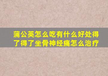 蒲公英怎么吃有什么好处得了得了坐骨神经痛怎么治疗