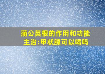 蒲公英根的作用和功能主治:甲状腺可以喝吗