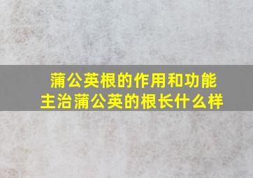 蒲公英根的作用和功能主治蒲公英的根长什么样