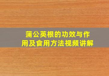 蒲公英根的功效与作用及食用方法视频讲解