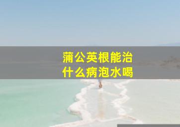 蒲公英根能治什么病泡水喝