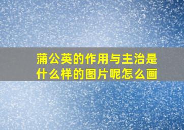 蒲公英的作用与主治是什么样的图片呢怎么画