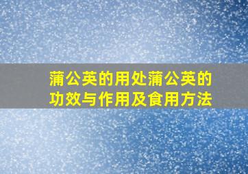 蒲公英的用处蒲公英的功效与作用及食用方法