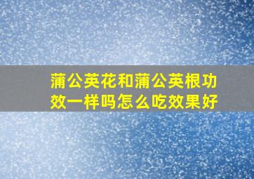 蒲公英花和蒲公英根功效一样吗怎么吃效果好