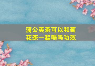 蒲公英茶可以和菊花茶一起喝吗功效