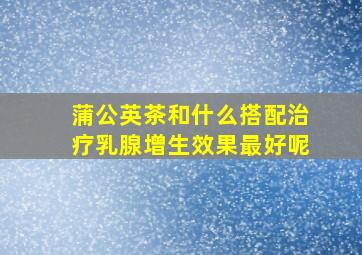 蒲公英茶和什么搭配治疗乳腺增生效果最好呢