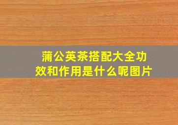 蒲公英茶搭配大全功效和作用是什么呢图片