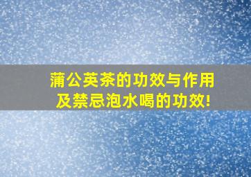 蒲公英茶的功效与作用及禁忌泡水喝的功效!