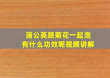 蒲公英跟菊花一起泡有什么功效呢视频讲解