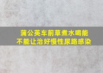 蒲公英车前草煮水喝能不能让治好慢性尿路感染