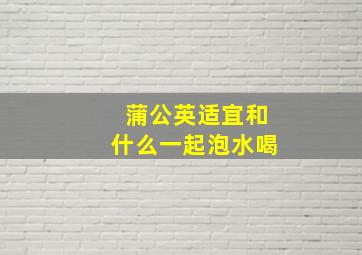 蒲公英适宜和什么一起泡水喝