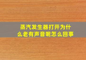 蒸汽发生器打开为什么老有声音呢怎么回事