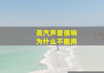 蒸汽声音很响为什么不能用