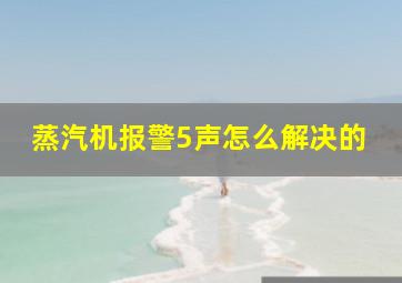 蒸汽机报警5声怎么解决的