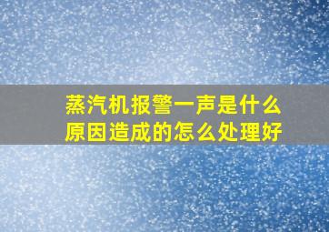 蒸汽机报警一声是什么原因造成的怎么处理好