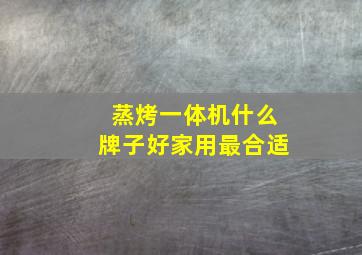 蒸烤一体机什么牌子好家用最合适