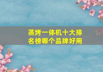 蒸烤一体机十大排名榜哪个品牌好用