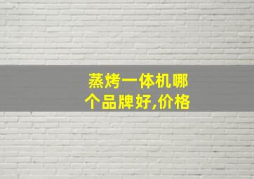 蒸烤一体机哪个品牌好,价格