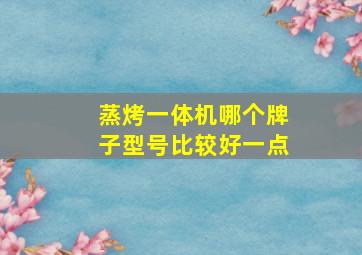 蒸烤一体机哪个牌子型号比较好一点