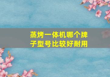 蒸烤一体机哪个牌子型号比较好耐用