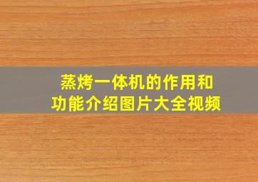 蒸烤一体机的作用和功能介绍图片大全视频