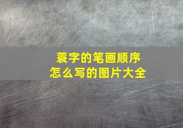 蓑字的笔画顺序怎么写的图片大全