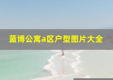 蓝博公寓a区户型图片大全