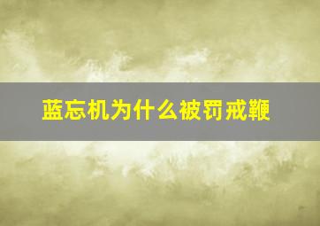 蓝忘机为什么被罚戒鞭