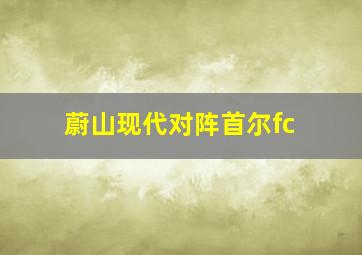 蔚山现代对阵首尔fc