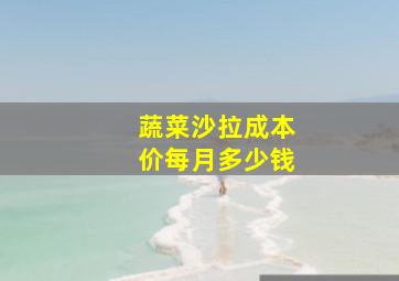 蔬菜沙拉成本价每月多少钱