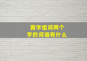 薇字组词两个字的词语有什么