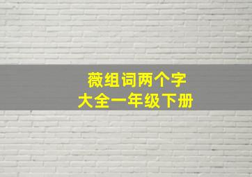 薇组词两个字大全一年级下册