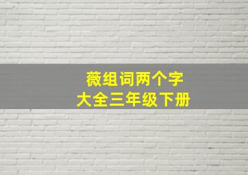 薇组词两个字大全三年级下册