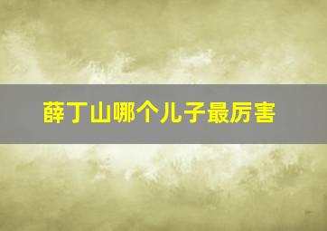 薛丁山哪个儿子最厉害