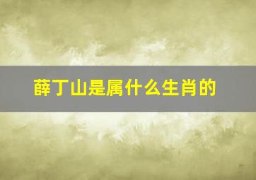 薛丁山是属什么生肖的