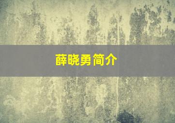 薛晓勇简介