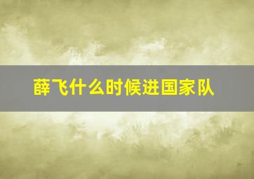 薛飞什么时候进国家队