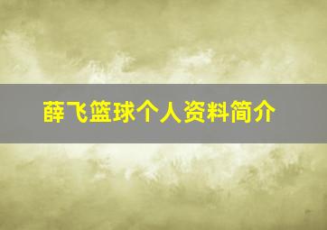 薛飞篮球个人资料简介