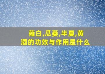 薤白,瓜蒌,半夏,黄酒的功效与作用是什么