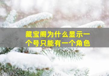 藏宝阁为什么显示一个号只能有一个角色