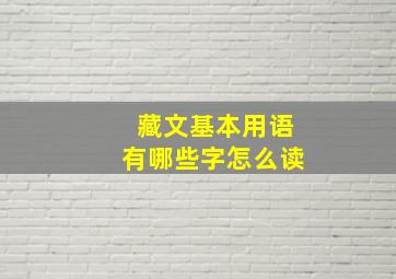 藏文基本用语有哪些字怎么读