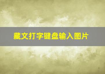 藏文打字键盘输入图片