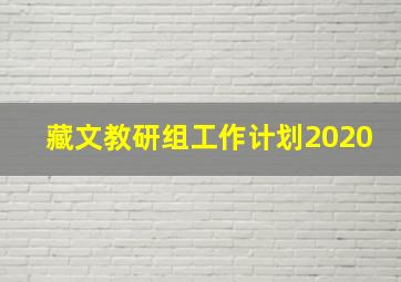 藏文教研组工作计划2020