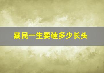 藏民一生要磕多少长头