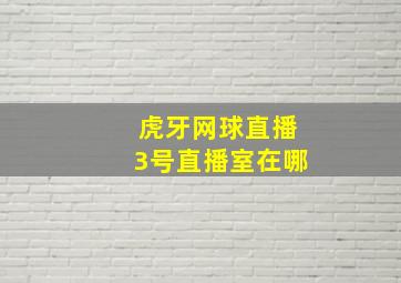 虎牙网球直播3号直播室在哪