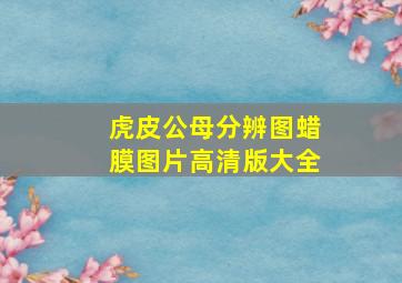 虎皮公母分辨图蜡膜图片高清版大全