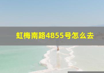 虹梅南路4855号怎么去