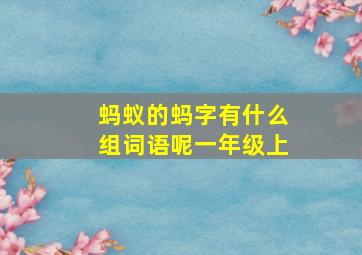 蚂蚁的蚂字有什么组词语呢一年级上