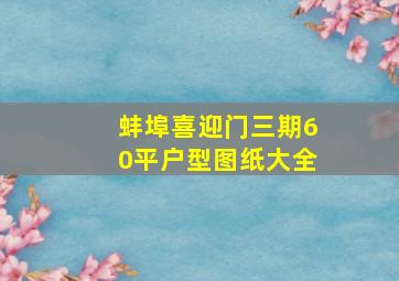 蚌埠喜迎门三期60平户型图纸大全